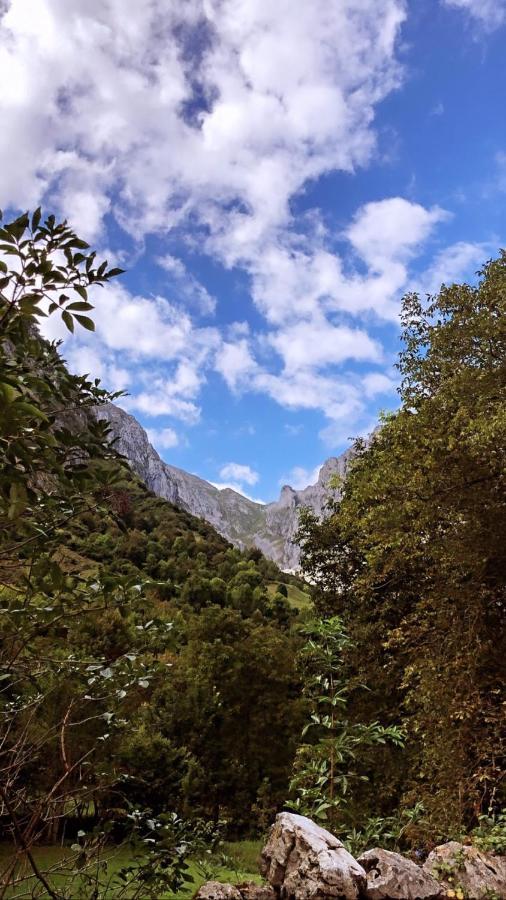 Albergue Villa De Bulnes Εξωτερικό φωτογραφία